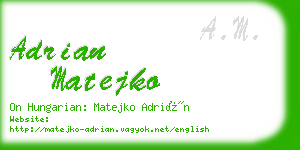 adrian matejko business card